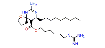 Norcrambescin B1
